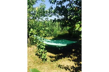 Serbija Privát Končarevo, Eksterjeras